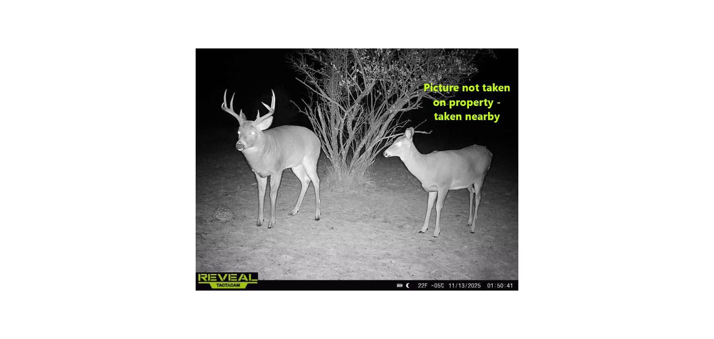 58 ± Acres Near Park Falls With Whitetail Hunting