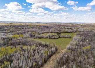 142 Acres of Prime Hunting & Riverfront Land Near Moose Lake