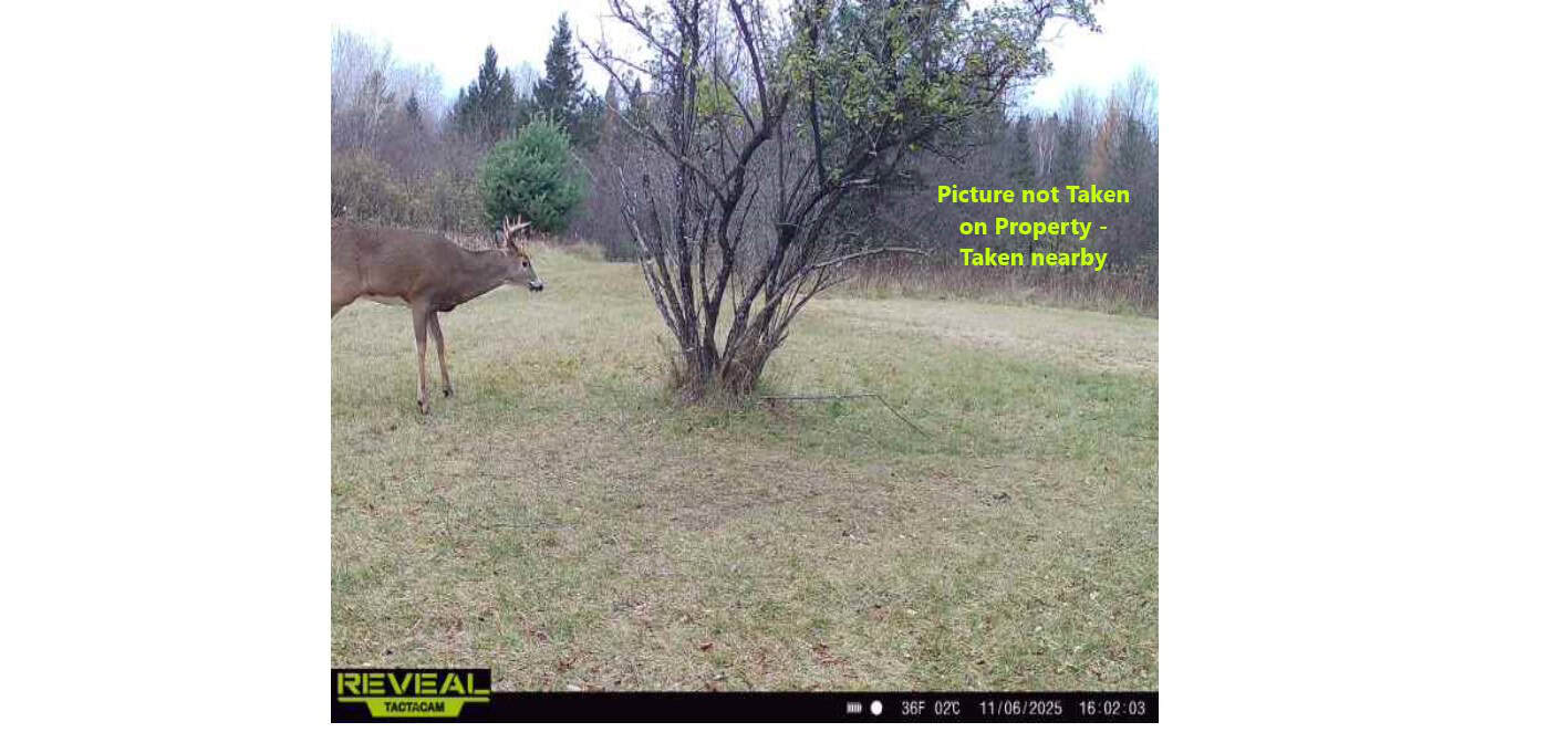 58 ± Acres Near Park Falls With Whitetail Hunting