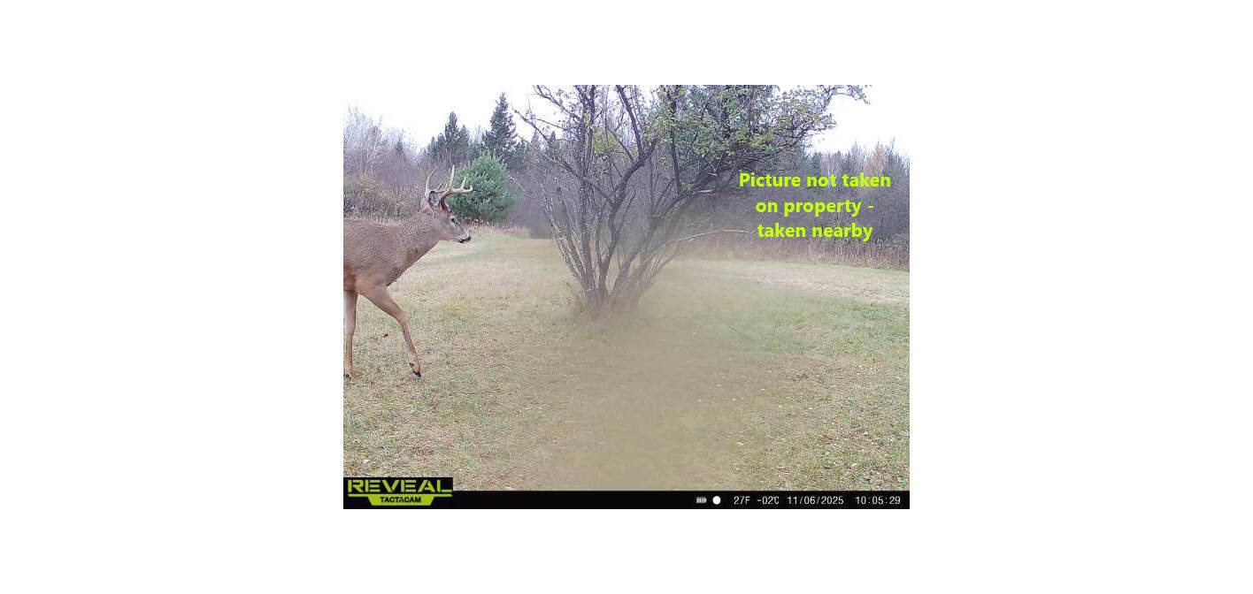58 ± Acres Near Park Falls With Whitetail Hunting