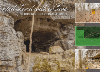 Hunting Property Bordering the National Forest