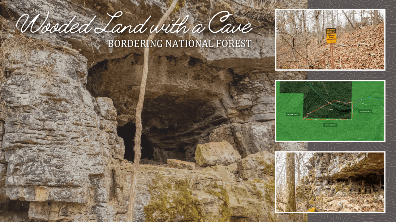 Hunting Property Bordering the National Forest