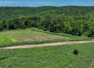 77.85+/- Acre Professionally Designed Whitetail Hunting Property for Sale in Vernon County, Wisconsin