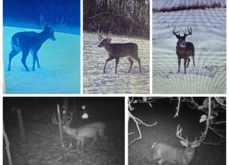 77.85+/- Acre Professionally Designed Whitetail Hunting Property for Sale in Vernon County, Wisconsin