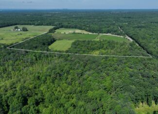 38.85-Acre Hunting & Recreational Property for Sale in Wood County, Wisconsin
