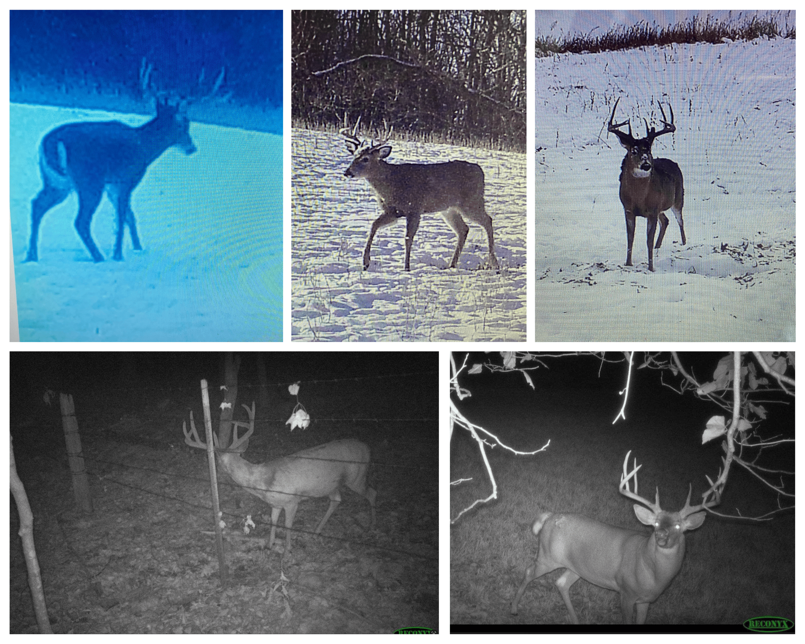 77.85+/- Acre Professionally Designed Whitetail Hunting Property for Sale in Vernon County, Wisconsin