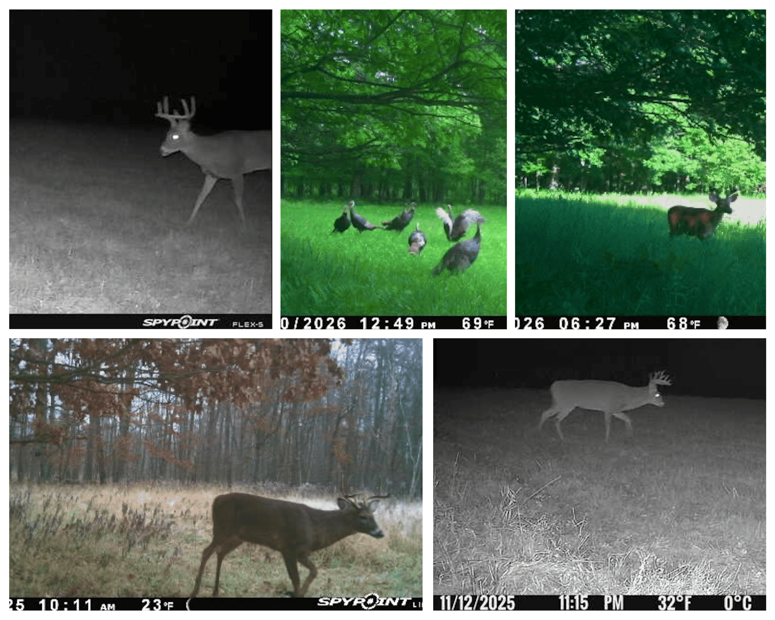 38.85-Acre Hunting & Recreational Property for Sale in Wood County, Wisconsin