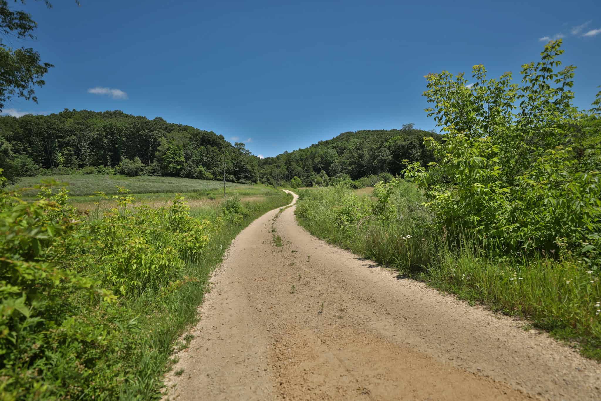 77.85+/- Acre Professionally Designed Whitetail Hunting Property for Sale in Vernon County, Wisconsin