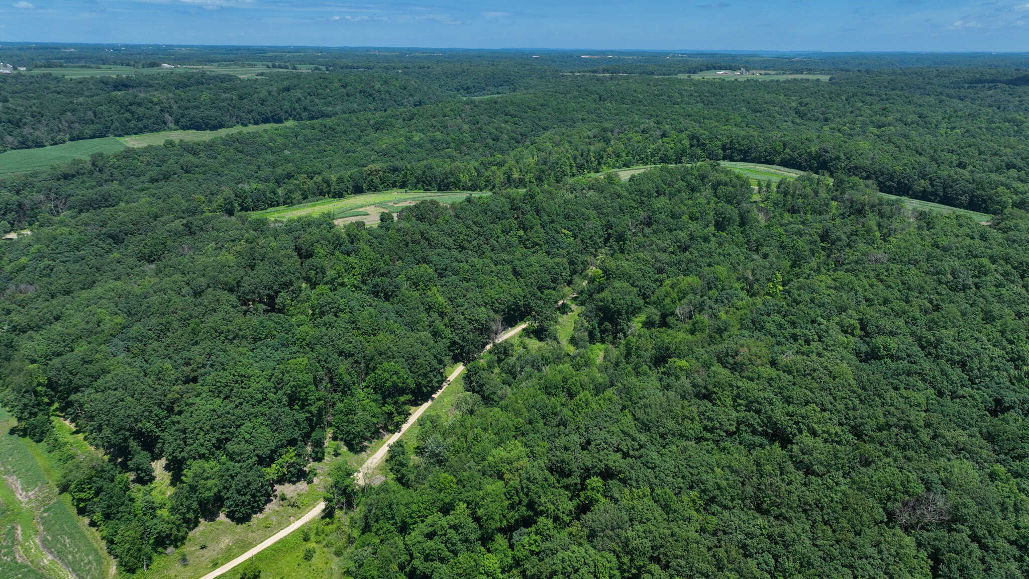 77.85+/- Acre Professionally Designed Whitetail Hunting Property for Sale in Vernon County, Wisconsin