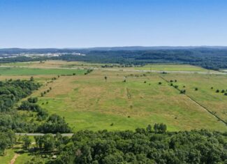 Wisconsin Conservation Land for Sale | 97± Acres in Monroe County