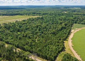 65+/- Acres of Turnkey Whitetail Country — Minutes from Castle Rock Lake