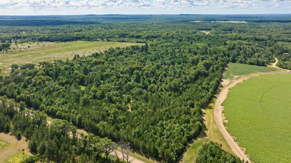 65+/- Acres of Turnkey Whitetail Country — Minutes from Castle Rock Lake