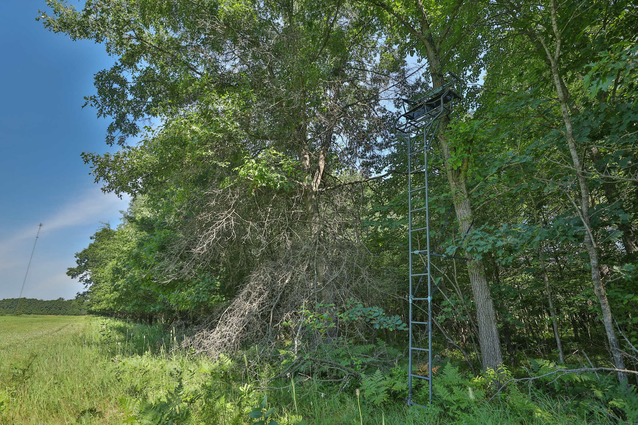 38.85-Acre Hunting & Recreational Property for Sale in Wood County, Wisconsin
