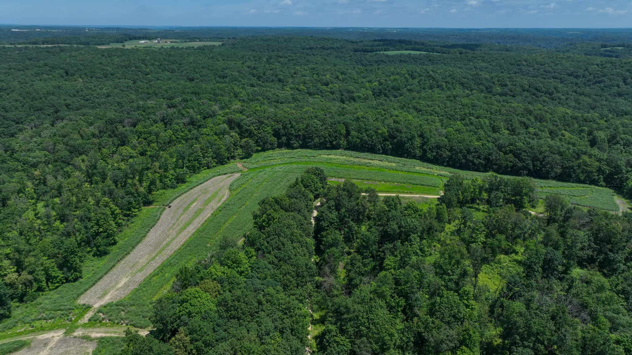 77.85+/- Acre Professionally Designed Whitetail Hunting Property for Sale in Vernon County, Wisconsin