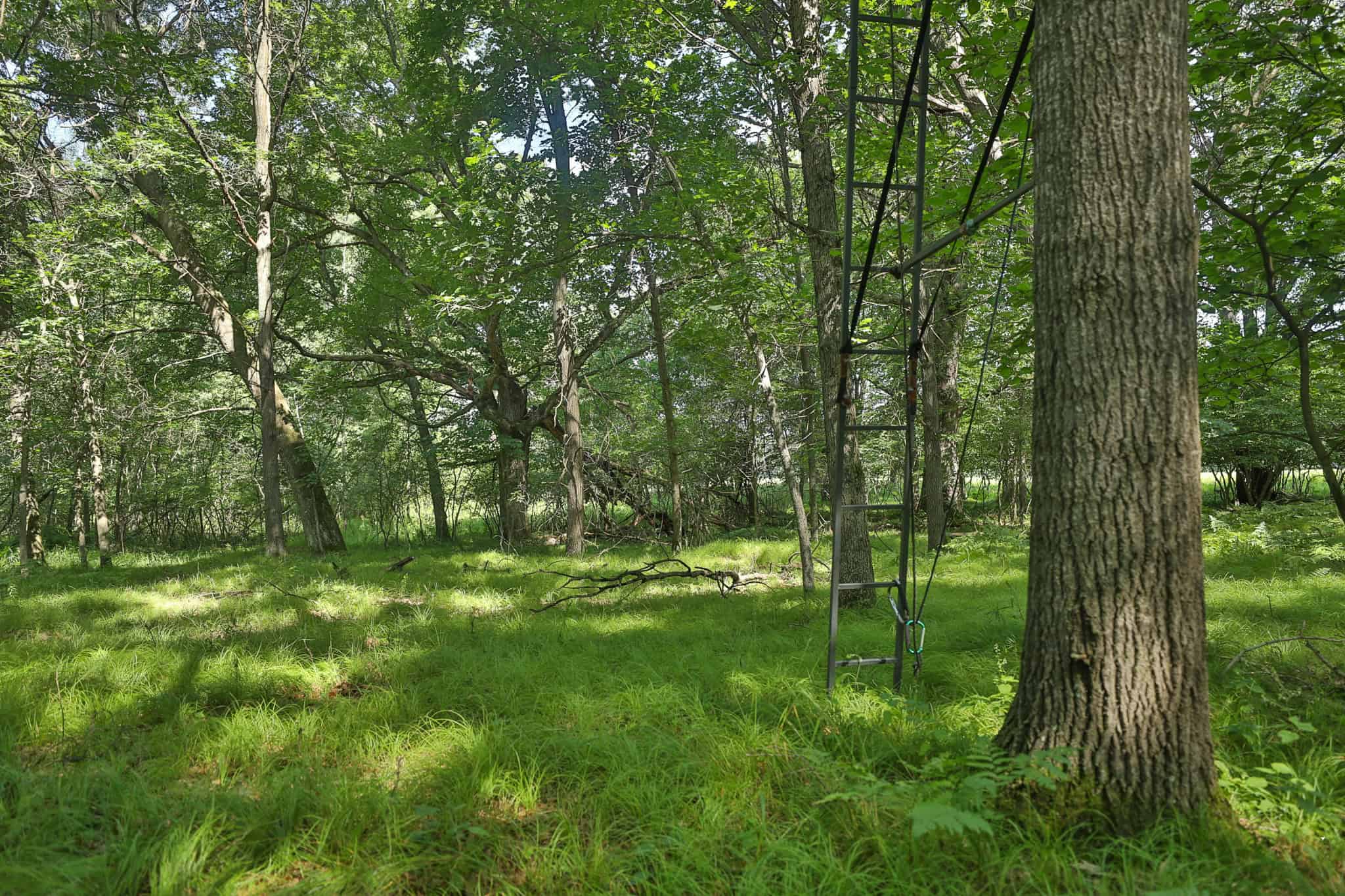 38.85-Acre Hunting & Recreational Property for Sale in Wood County, Wisconsin