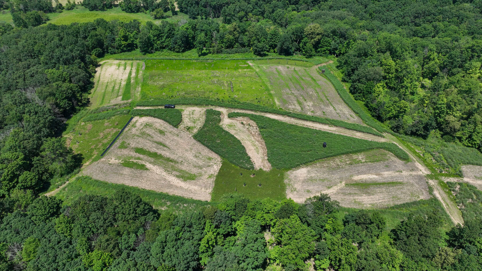 77.85+/- Acre Professionally Designed Whitetail Hunting Property for Sale in Vernon County, Wisconsin