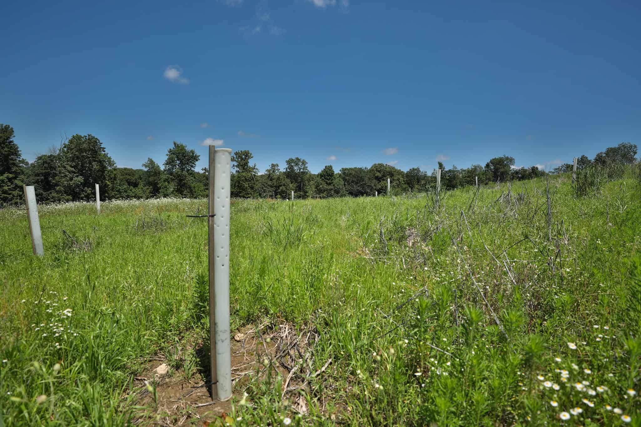 77.85+/- Acre Professionally Designed Whitetail Hunting Property for Sale in Vernon County, Wisconsin