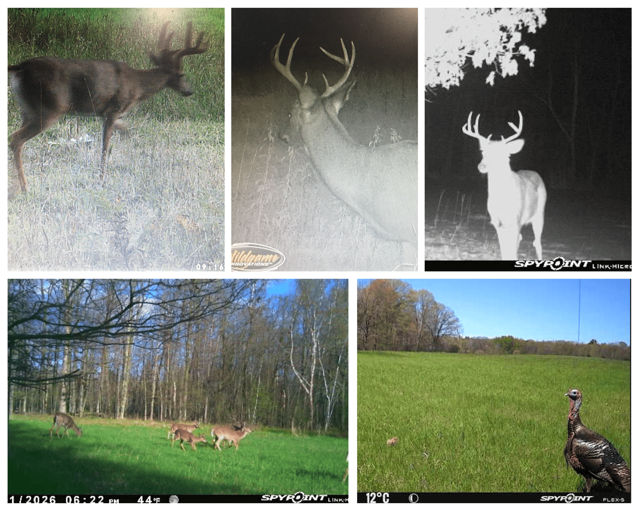 38.85-Acre Hunting & Recreational Property for Sale in Wood County, Wisconsin
