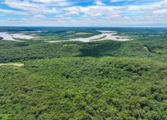 Truman Lake Hunting Property