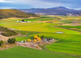 Colorado Horse Property with Multiple Homes & Irrigated Land