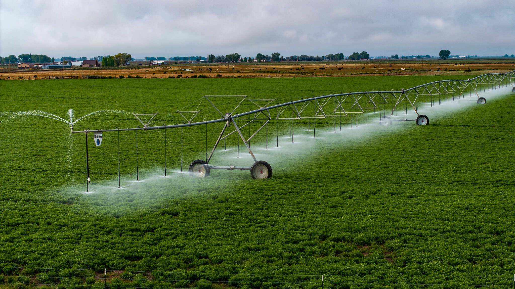 Colorado Alfalfa Farm and Waterfowl Duck Hunting Property