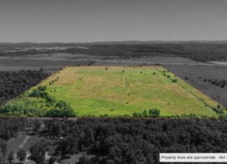 Wisconsin Conservation Land for Sale | 97± Acres in Monroe County