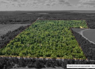 65+/- Acres of Turnkey Whitetail Country — Minutes from Castle Rock Lake