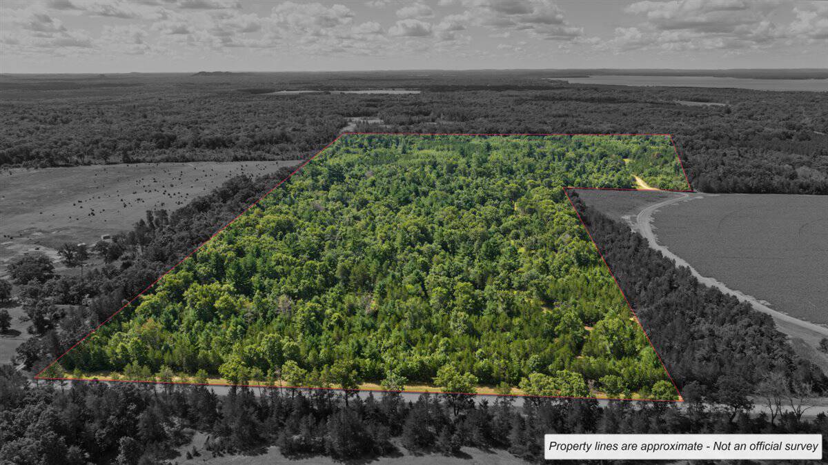 65+/- Acres of Turnkey Whitetail Country — Minutes from Castle Rock Lake