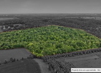 47± Acre Hunting Property with Cabin | Vernon County, Wisconsin