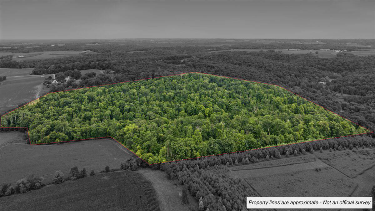 47± Acre Hunting Property with Cabin | Vernon County, Wisconsin