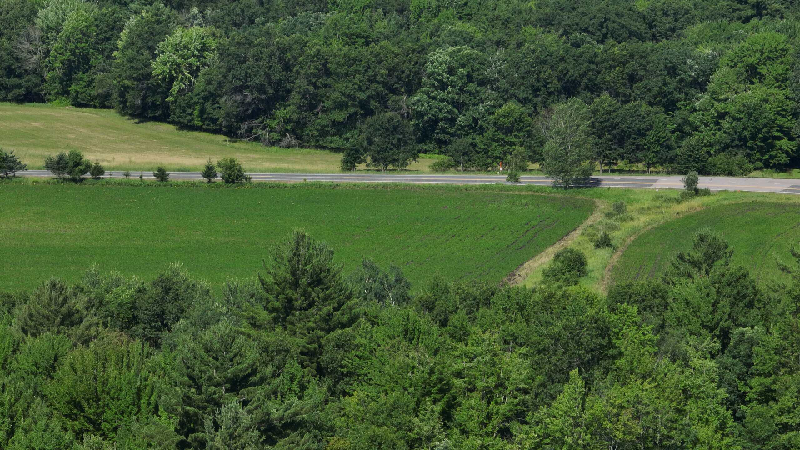 38.85-Acre Hunting & Recreational Property for Sale in Wood County, Wisconsin