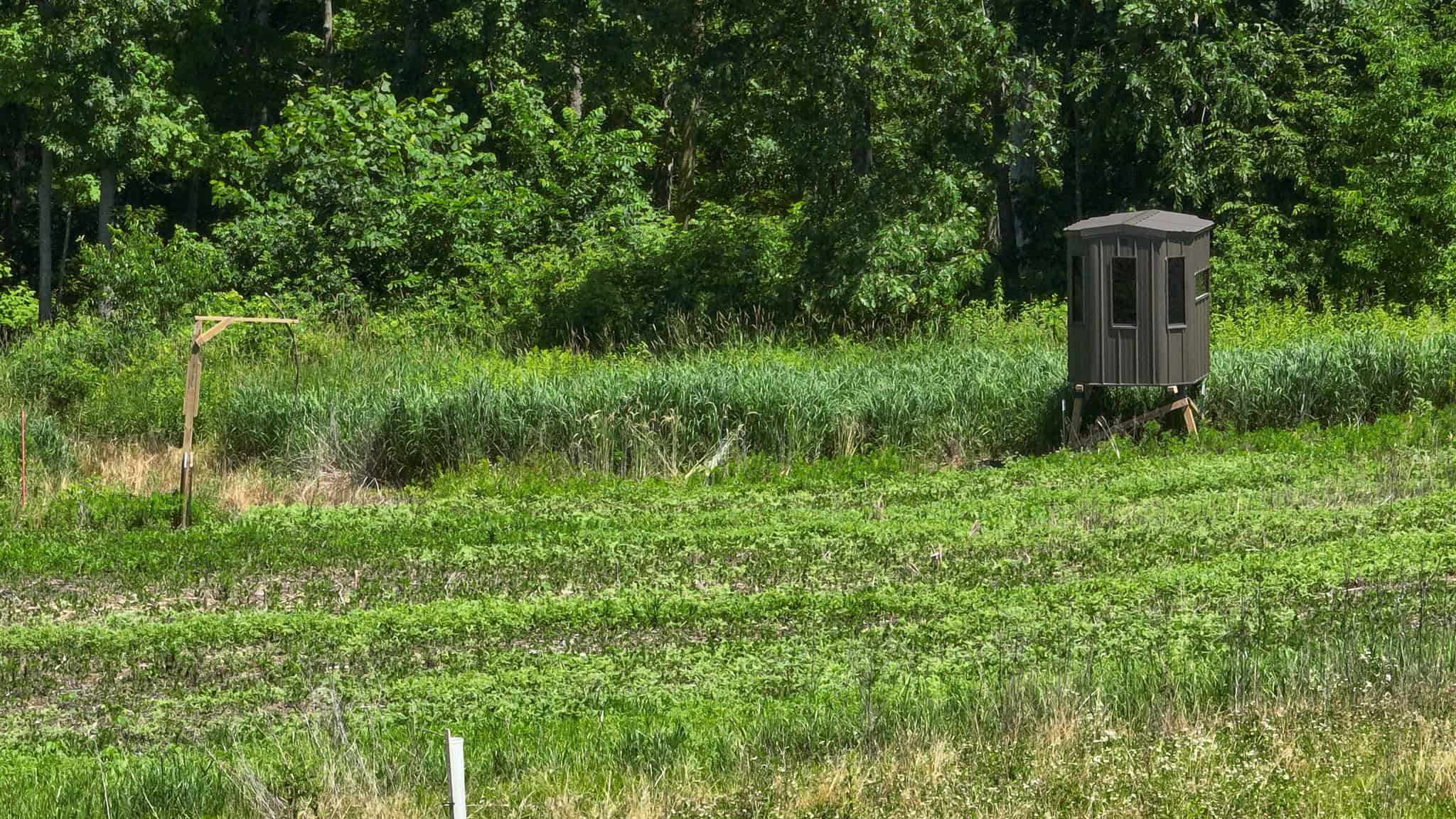 77.85+/- Acre Professionally Designed Whitetail Hunting Property for Sale in Vernon County, Wisconsin