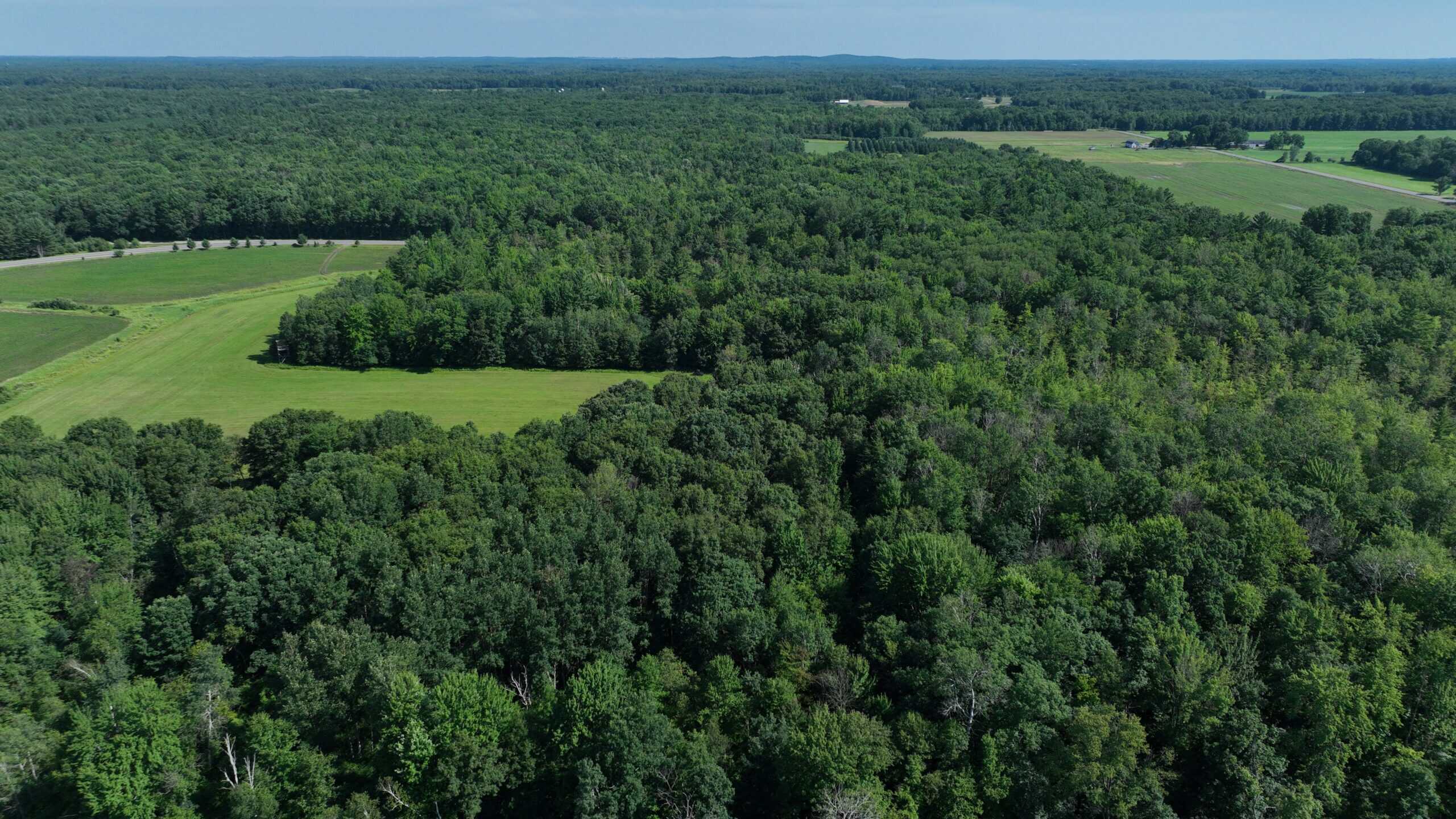 38.85-Acre Hunting & Recreational Property for Sale in Wood County, Wisconsin