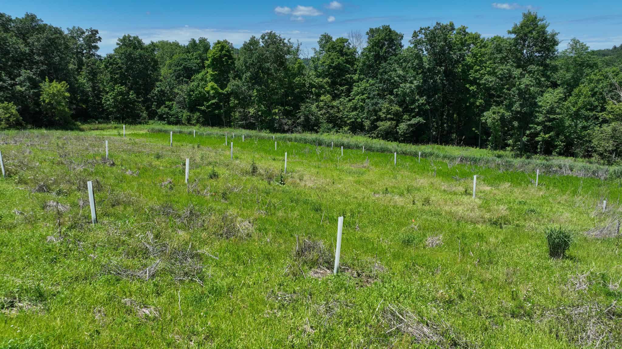 77.85+/- Acre Professionally Designed Whitetail Hunting Property for Sale in Vernon County, Wisconsin