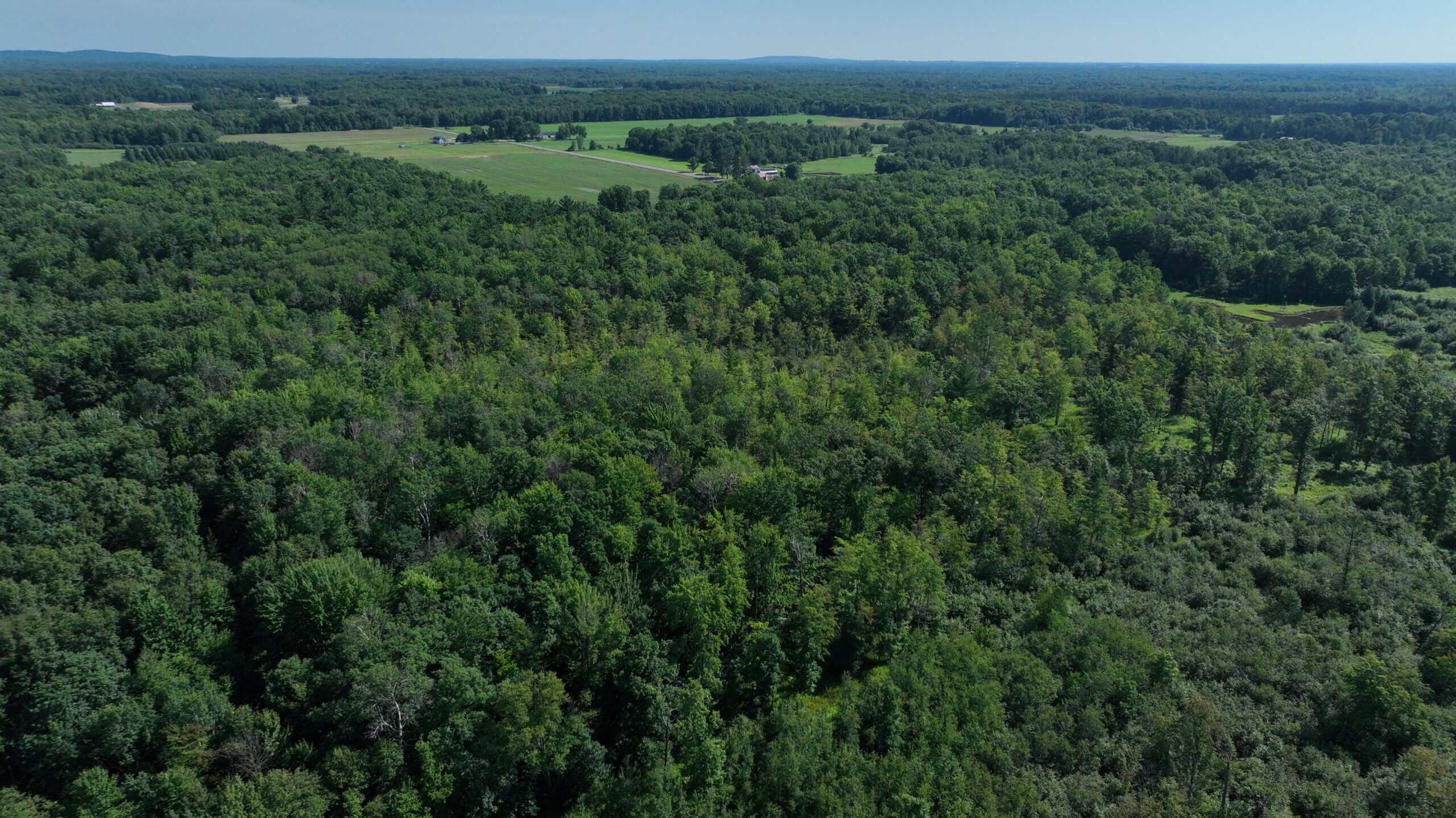 38.85-Acre Hunting & Recreational Property for Sale in Wood County, Wisconsin