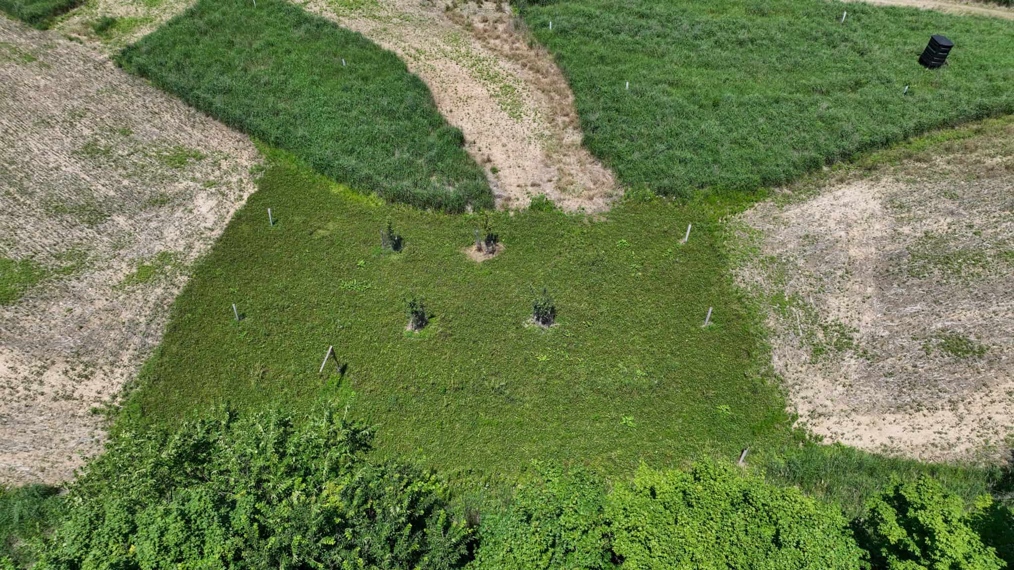 77.85+/- Acre Professionally Designed Whitetail Hunting Property for Sale in Vernon County, Wisconsin