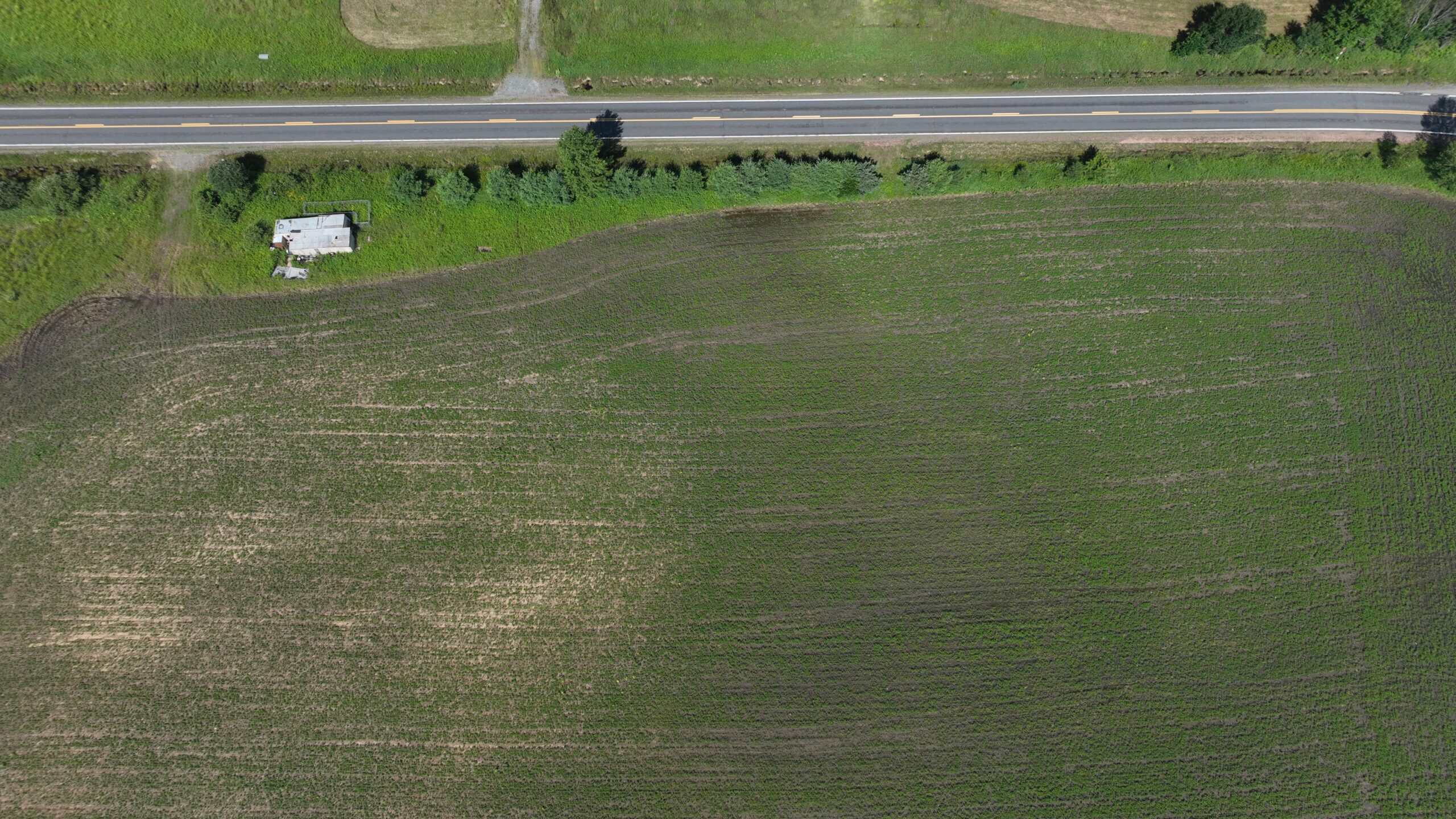 38.85-Acre Hunting & Recreational Property for Sale in Wood County, Wisconsin