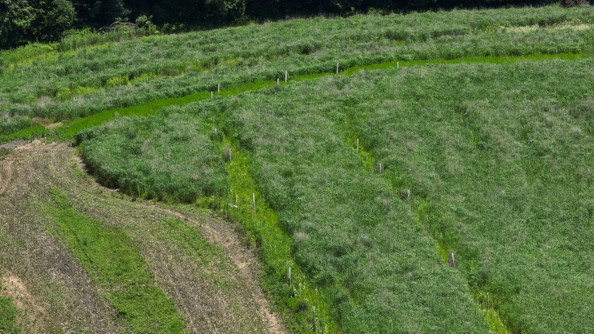 77.85+/- Acre Professionally Designed Whitetail Hunting Property for Sale in Vernon County, Wisconsin