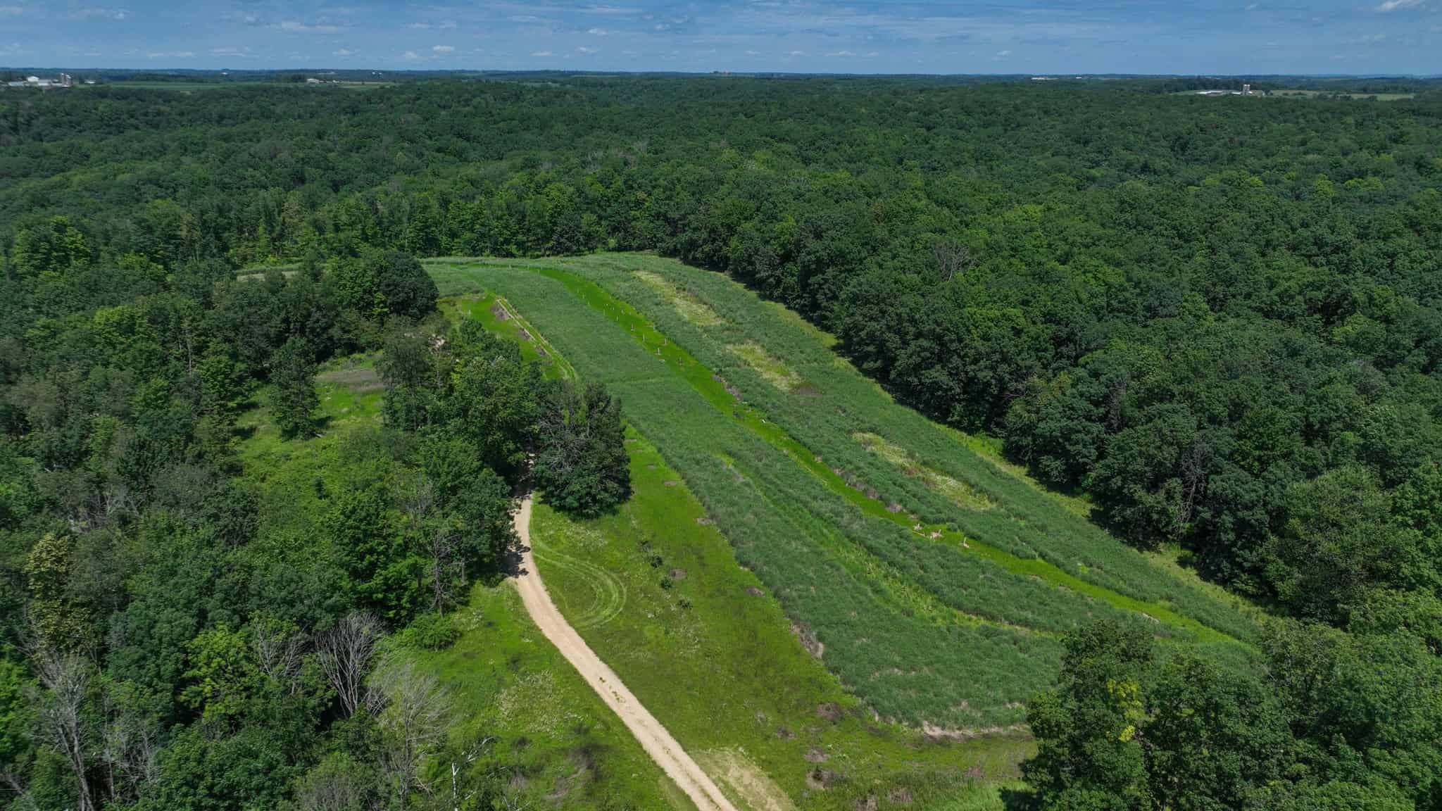 77.85+/- Acre Professionally Designed Whitetail Hunting Property for Sale in Vernon County, Wisconsin