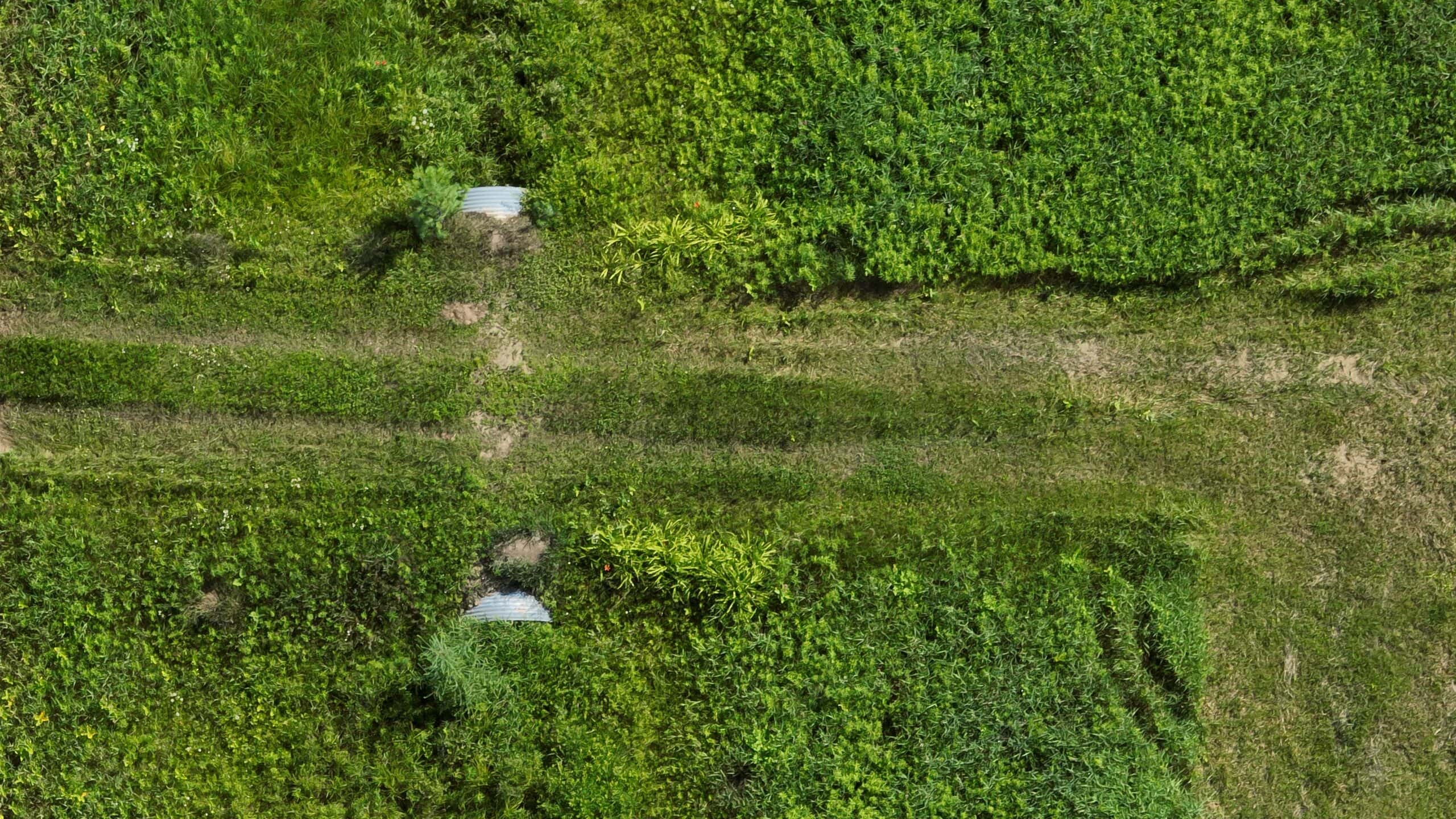 38.85-Acre Hunting & Recreational Property for Sale in Wood County, Wisconsin
