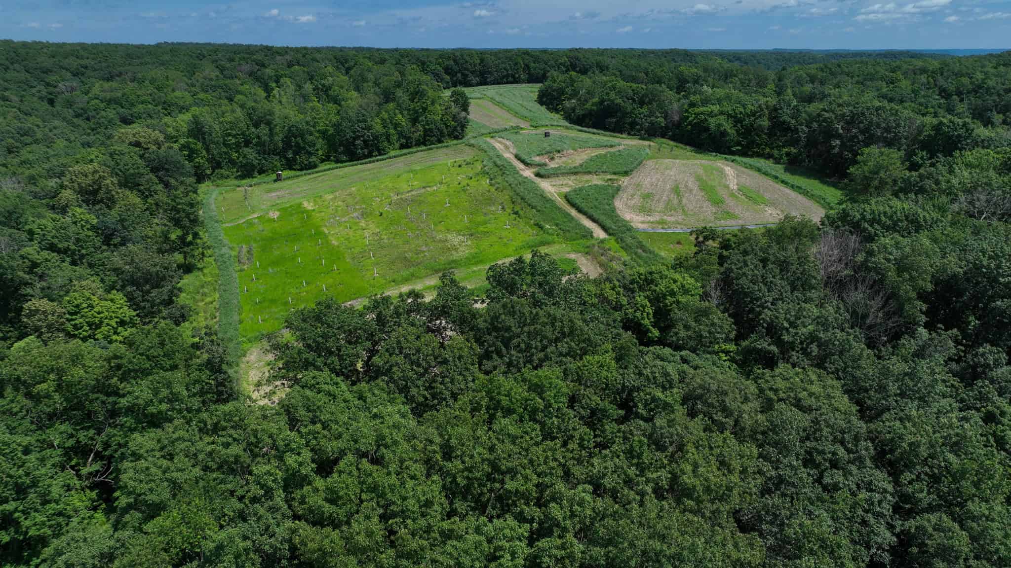 77.85+/- Acre Professionally Designed Whitetail Hunting Property for Sale in Vernon County, Wisconsin