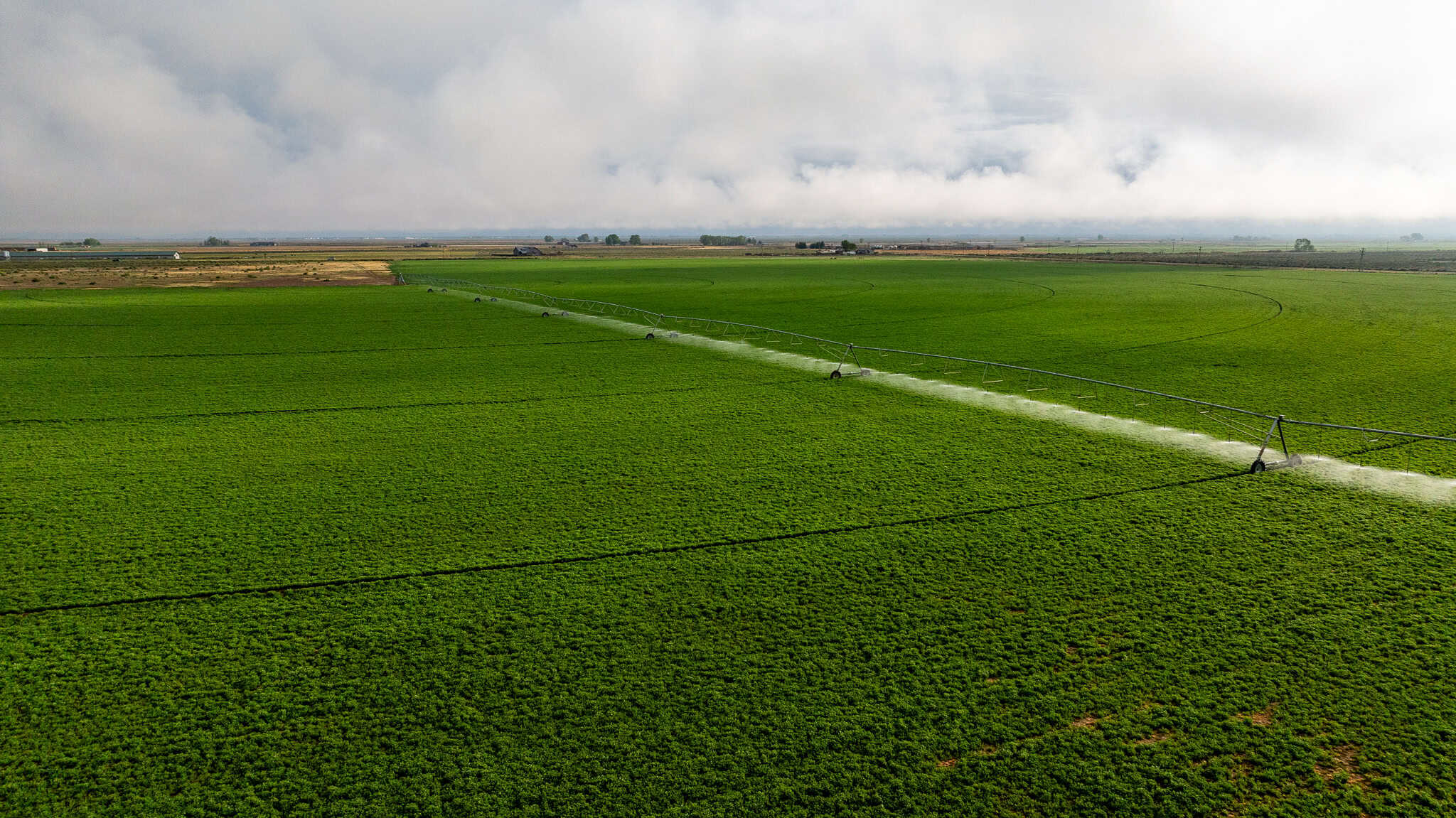 Colorado Alfalfa Farm and Waterfowl Duck Hunting Property