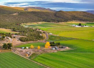 Colorado Horse Property with Multiple Homes & Irrigated Land