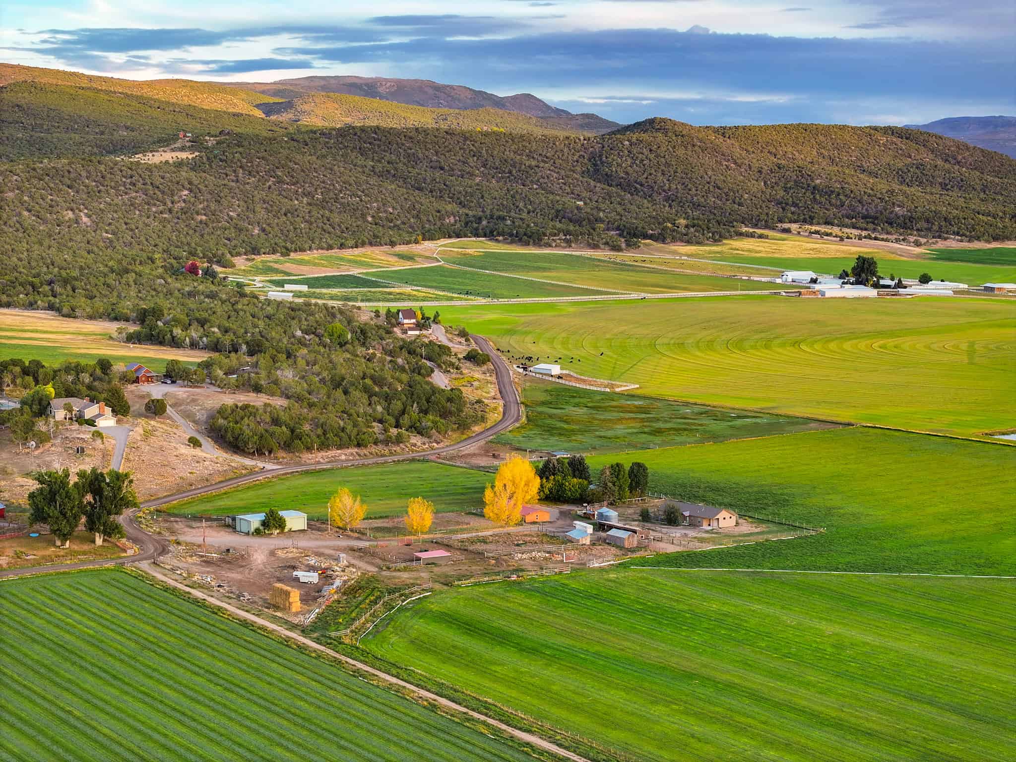 Colorado Horse Property with Multiple Homes & Irrigated Land
