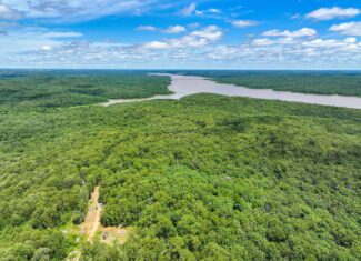 Truman Lake Hunting Property