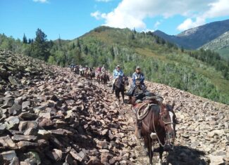 Colorado Wilderness Elk Hunting Outfitting Business for Sale