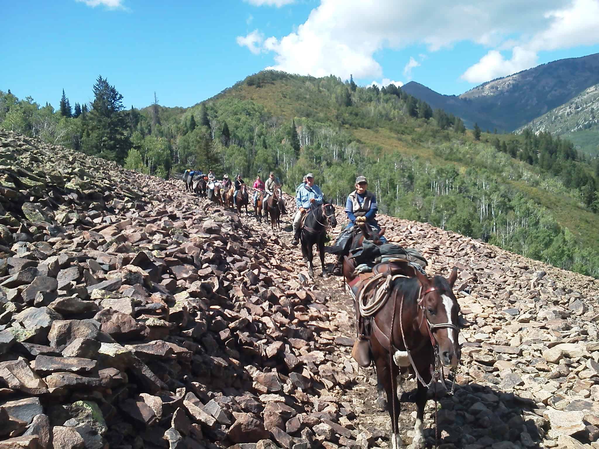 Colorado Wilderness Elk Hunting Outfitting Business for Sale