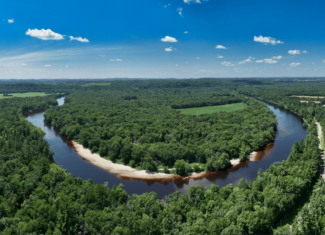 235± ACRE BLACK RIVER WATERFRONT & RECREATIONAL ESTATE