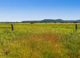 Wisconsin Conservation Land for Sale | 97± Acres in Monroe County