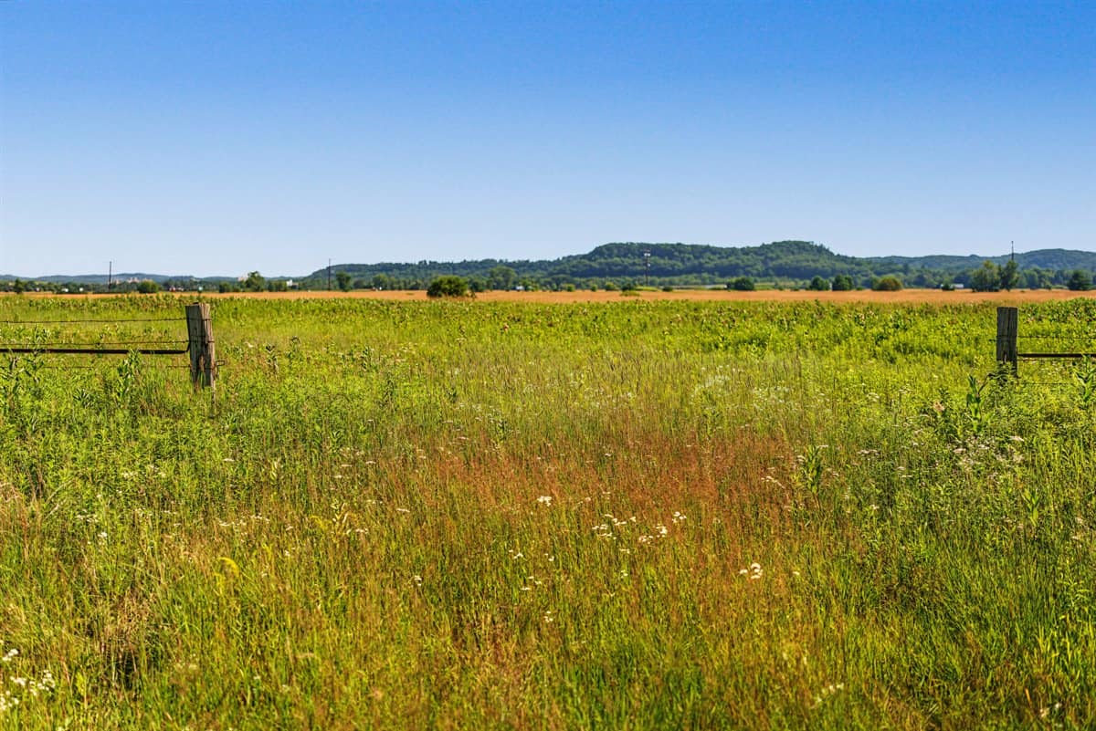 Wisconsin Conservation Land for Sale | 97± Acres in Monroe County